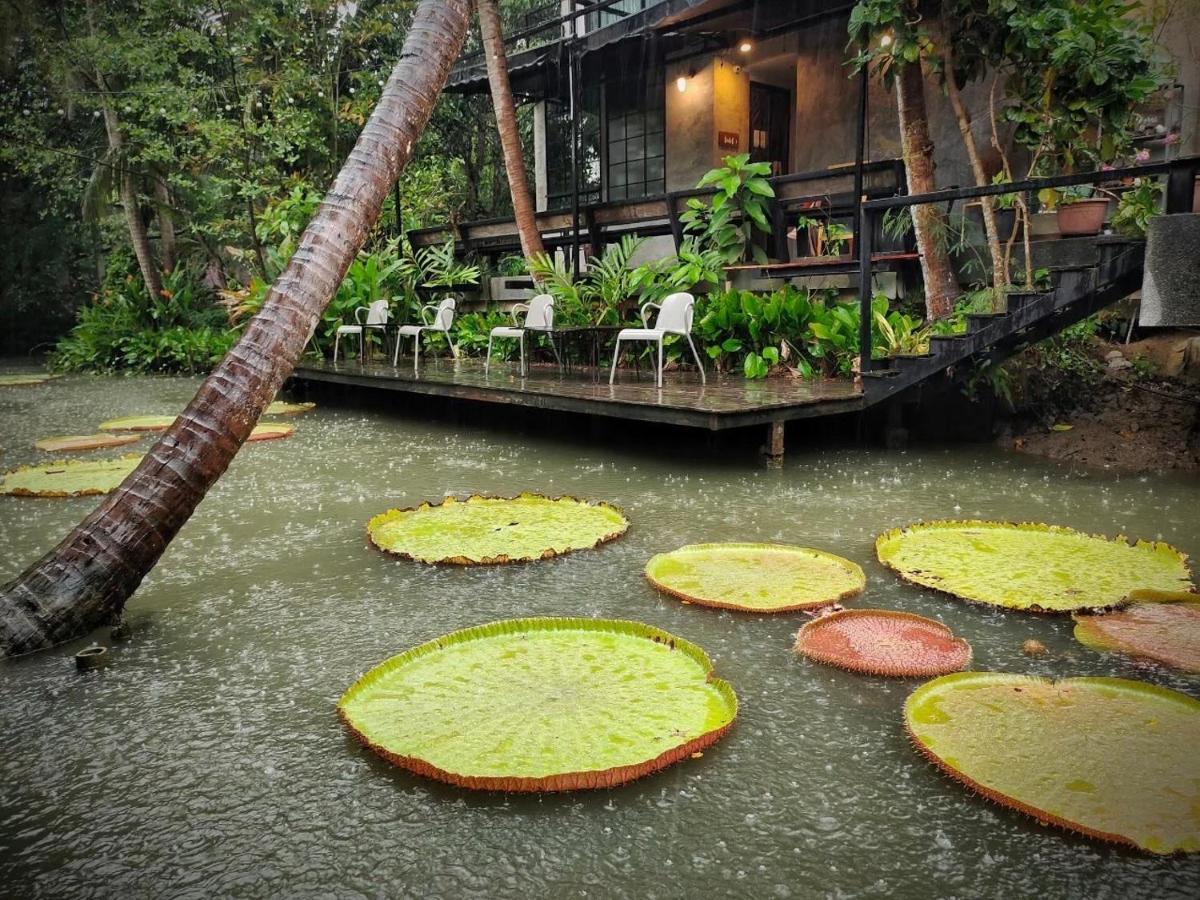 Gajib Bed&Breakfast 암파와 외부 사진