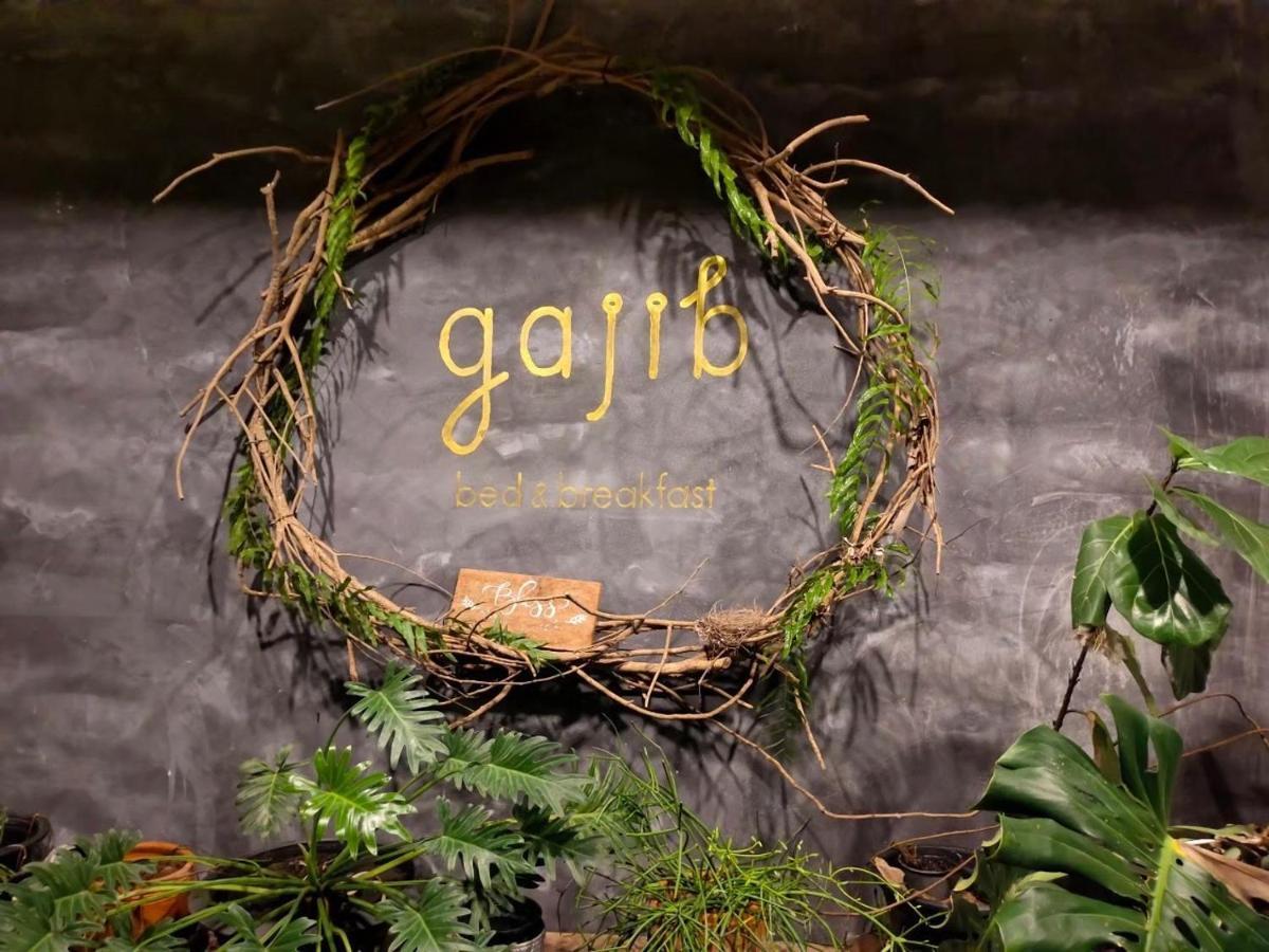 Gajib Bed&Breakfast 암파와 외부 사진